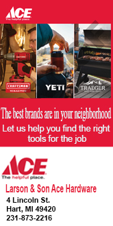 Larson and Son Ace Hardware